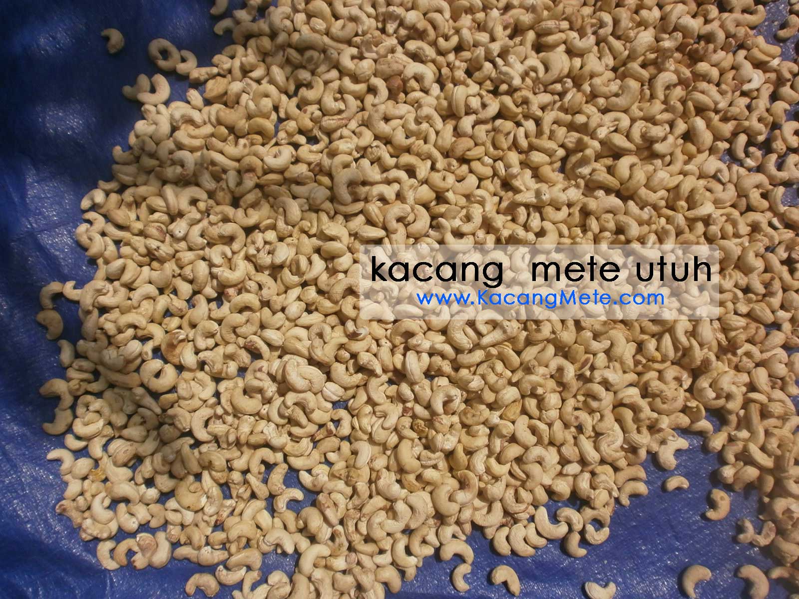 Jual Kacang Mete mentah