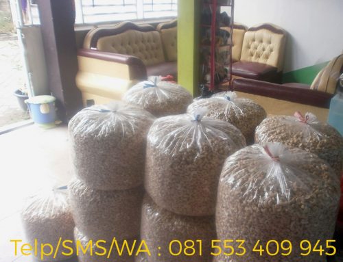 Kacang Mete  Parcel Lebaran 2016