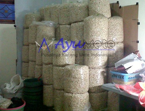 Jual Kacang Mete Mentah Utuh dan Mentah Kualitas Belah dari Ayumete, Siap Kirim ke Wilayah Bali